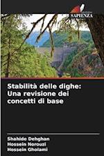 Stabilità delle dighe: Una revisione dei concetti di base