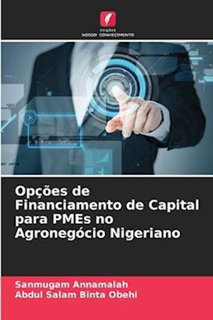 Opções de Financiamento de Capital para PMEs no Agronegócio Nigeriano