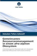 Gemeinsames Ressourcenmanagement in einem afro-alpinen Ökosystem