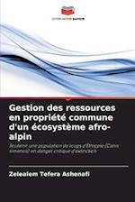 Gestion des ressources en propriété commune d'un écosystème afro-alpin