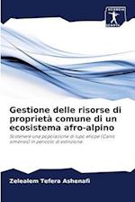 Gestione delle risorse di proprietà comune di un ecosistema afro-alpino