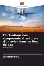 Fluctuations des composants structurels d'un avion dans un flux de gaz