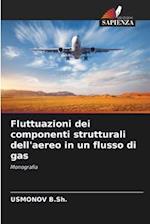 Fluttuazioni dei componenti strutturali dell'aereo in un flusso di gas