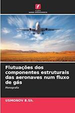 Flutuações dos componentes estruturais das aeronaves num fluxo de gás