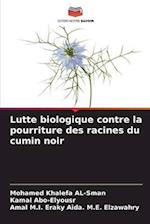 Lutte biologique contre la pourriture des racines du cumin noir