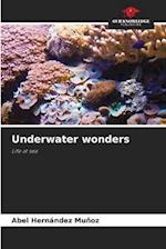 Underwater wonders