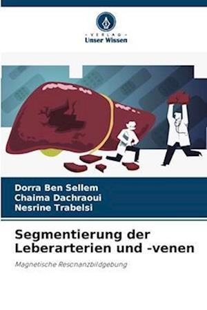 Segmentierung der Leberarterien und -venen