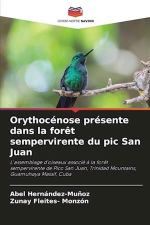 Orythocénose présente dans la forêt sempervirente du pic San Juan