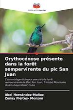 Orythocénose présente dans la forêt sempervirente du pic San Juan