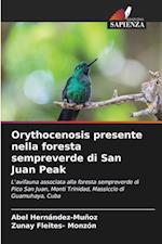 Orythocenosis presente nella foresta sempreverde di San Juan Peak