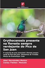 Orythocenosis presente na floresta sempre verdejante do Pico de San Juan