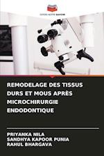 REMODELAGE DES TISSUS DURS ET MOUS APRÈS MICROCHIRURGIE ENDODONTIQUE