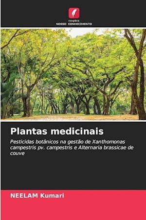 Plantas medicinais