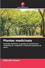 Plantas medicinais