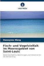 Fisch- und Vogelvielfalt im Meeresgebiet von Saint-Louis