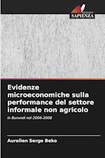Evidenze microeconomiche sulla performance del settore informale non agricolo