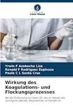 Wirkung des Koagulations- und Flockungsprozesses