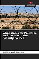 What status for Palestine and the role of the Security Council