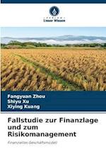 Fallstudie zur Finanzlage und zum Risikomanagement