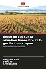 Étude de cas sur la situation financière et la gestion des risques