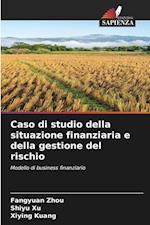 Caso di studio della situazione finanziaria e della gestione del rischio