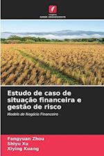 Estudo de caso de situação financeira e gestão de risco