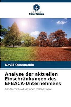 Analyse der aktuellen Einschränkungen des EFBACA-Unternehmens