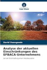 Analyse der aktuellen Einschränkungen des EFBACA-Unternehmens