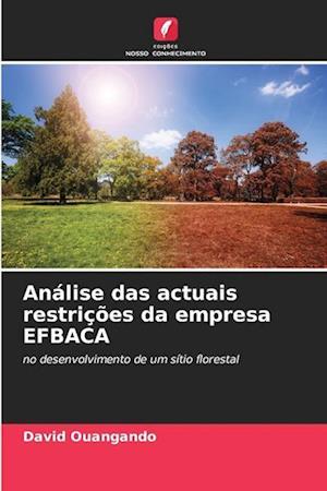 Análise das actuais restrições da empresa EFBACA