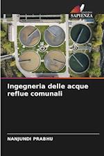 Ingegneria delle acque reflue comunali