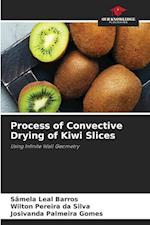 Process of Convective Drying of Kiwi Slices