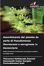 Assorbimento del piombo da parte di Pseudomonas flourescens e aeruginosa in Sansevieria