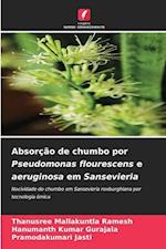 Absorção de chumbo por Pseudomonas flourescens e aeruginosa em Sansevieria