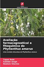 Avaliação farmacognostical e fitoquímica do Phyllanthus amarus