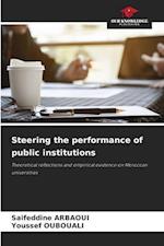 Steering the performance of public institutions