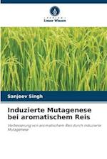 Induzierte Mutagenese bei aromatischem Reis