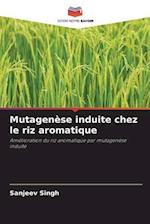 Mutagenèse induite chez le riz aromatique