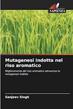 Mutagenesi indotta nel riso aromatico