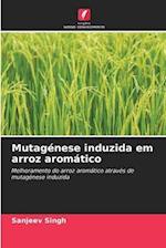 Mutagénese induzida em arroz aromático