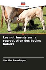 Les nutriments sur la reproduction des bovins laitiers