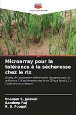 Microarray pour la tolérance à la sécheresse chez le riz