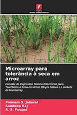 Microarray para tolerância à seca em arroz