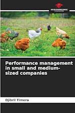 Performance management in small and medium-sized companies