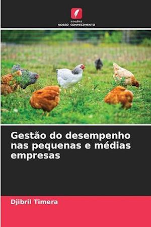 Gestão do desempenho nas pequenas e médias empresas