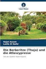 Die Berberitze (Thuja) und die Atlaszypresse