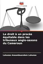 Le droit à un procès équitable dans les tribunaux anglo-saxons du Cameroun