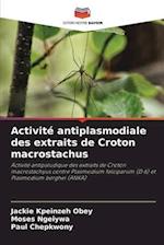 Activité antiplasmodiale des extraits de Croton macrostachus