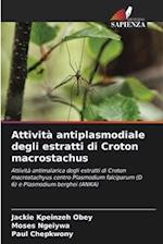 Attività antiplasmodiale degli estratti di Croton macrostachus