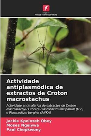 Actividade antiplasmódica de extractos de Croton macrostachus