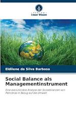 Social Balance als Managementinstrument